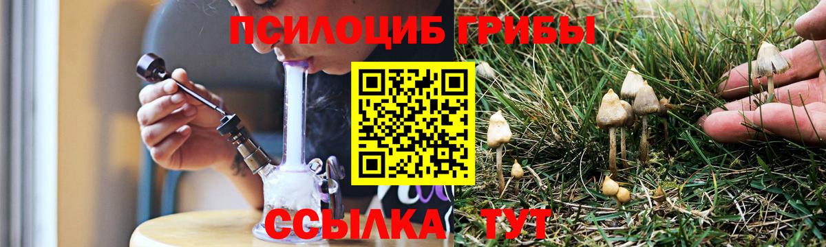 Гусев  Псилоцибиновые грибы прущие грибы  Вход с VPN  Псилоцибиновые грибы прущие грибы 