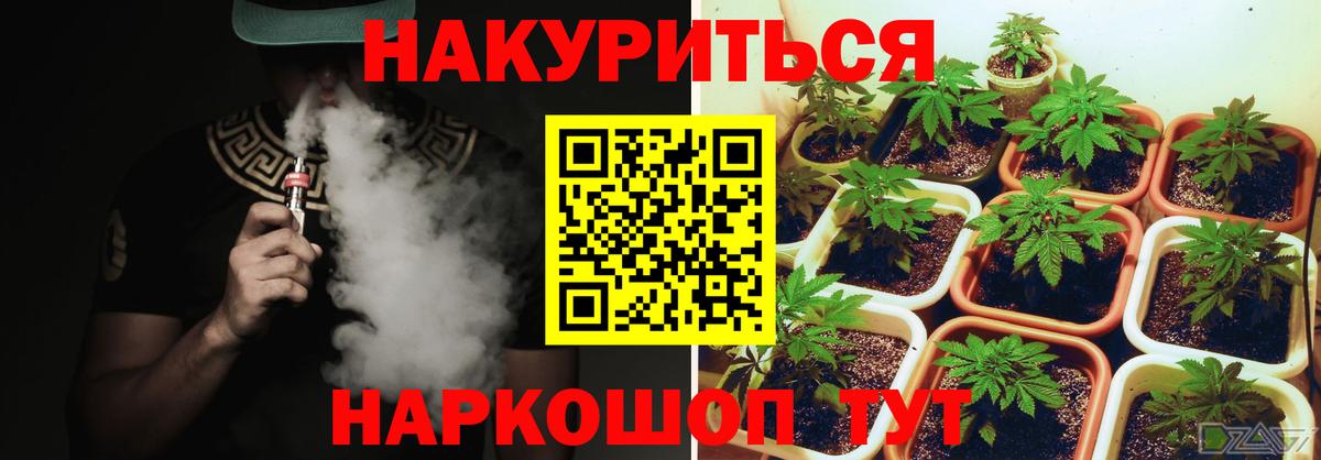 Бошки марихуана SATIVA & INDICA  Вход с VPN  Гусев  Шишки марихуана OG Kush  Шишки марихуана Ganja 